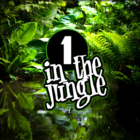 One In The Jungle - A Guy Called Gerald - 24.08.1995 [Download]